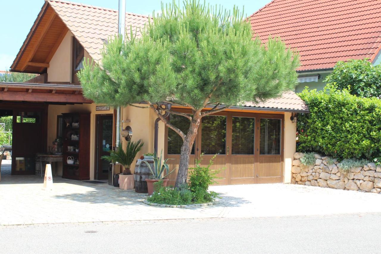 Pension Vanii, Apartments 러스트 외부 사진
